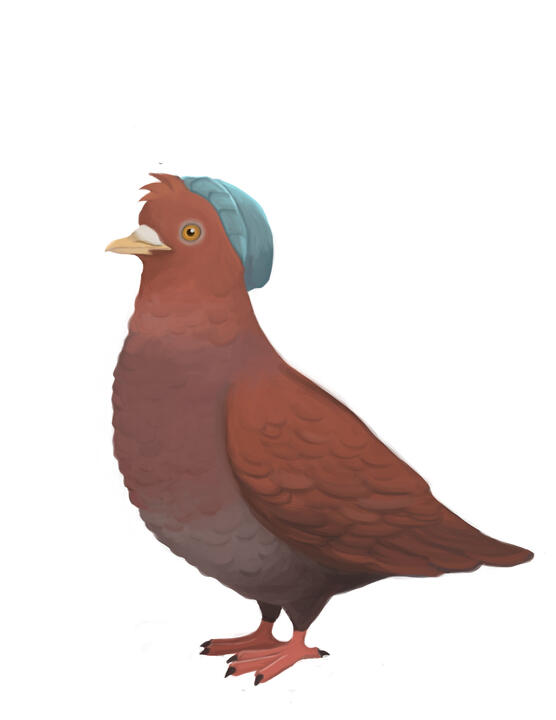 birdsona